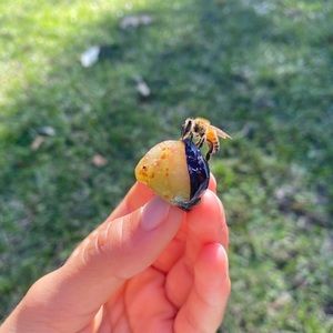 Meet your Posher, Jasmine